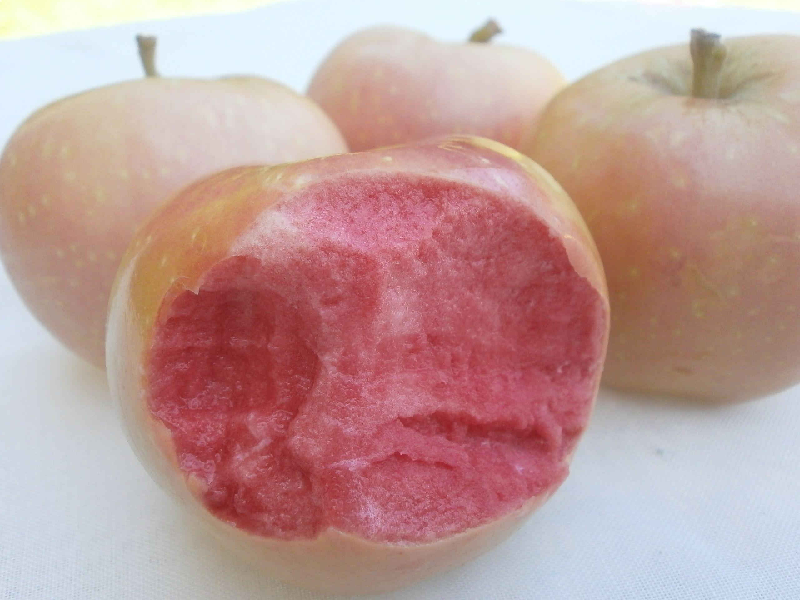 Pink red apples