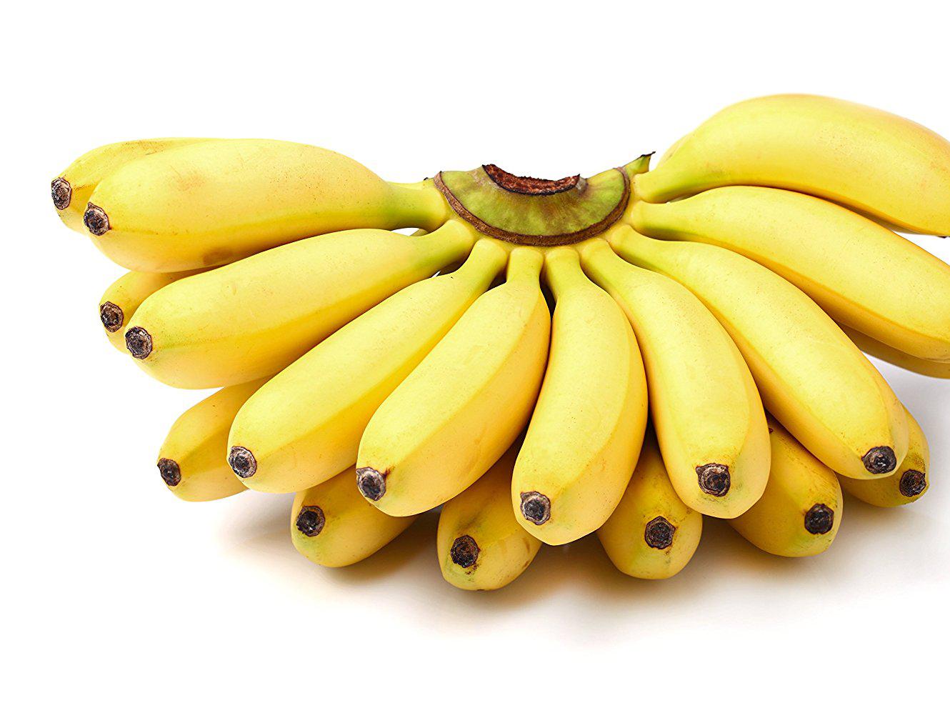 Sweet bananas (small)