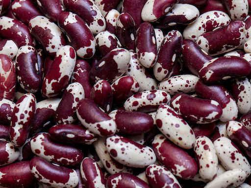 Dry beans