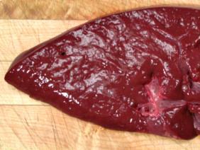 Liver