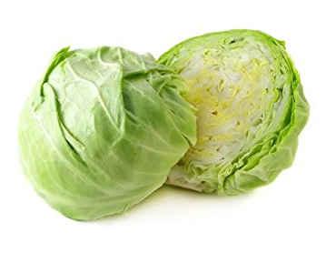 Cabbage