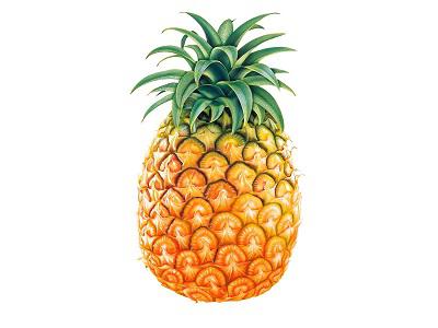 Pineapple small