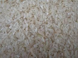 Short grain rice