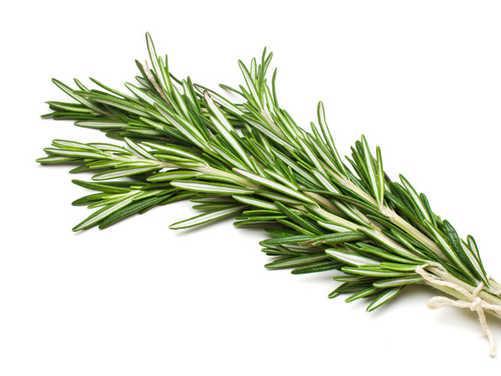 Rosemary