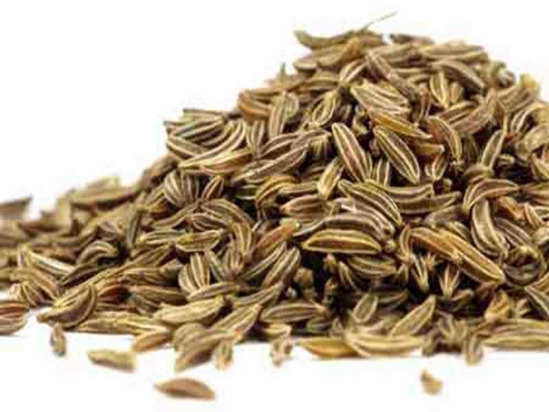 Cumin seeds