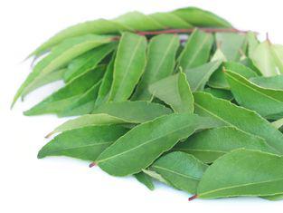 Curry leaves