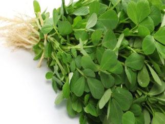 Methi Leaves