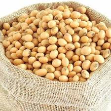 SoyaBean