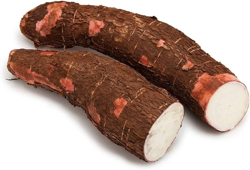 Cassava