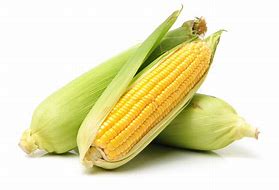 Maize/Corn