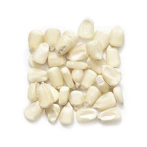 High Quality White Corn, Yellow Corn, Non GMO Yellow Corn /White Corn /maize For Sale