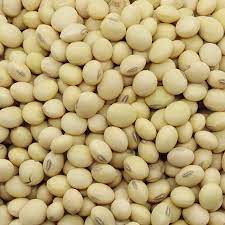 SOYA BEAN