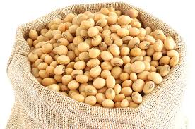 Soya Beans